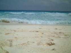 19 - Feb 19 - White Sand, Blue Water.jpg
