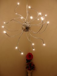 Filename=DSC00009.JPG
Filesize=281KiB
Dimensions=1200x1600
Date added=Aug 26, 2005 DSC00009.JPG