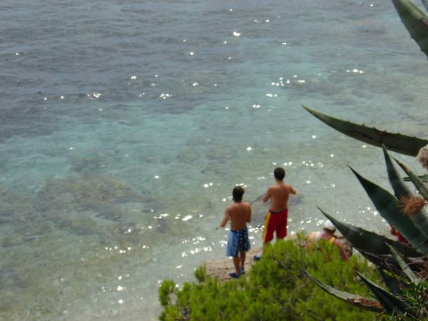 Click to view full size image