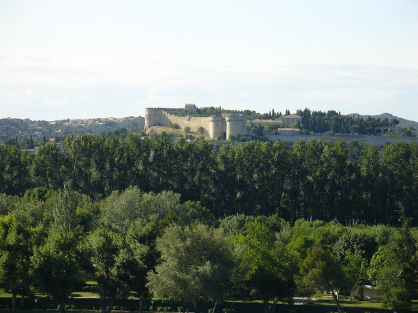 Click to view full size image