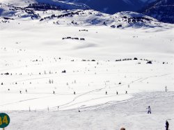 Filename=DSC00897.JPG
Filesize=225KiB
Dimensions=1600x1200
Date added=Feb 23, 2005 DSC00897.JPG