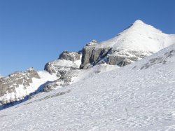 Filename=DSC00901.JPG
Filesize=290KiB
Dimensions=1600x1200
Date added=Feb 23, 2005 DSC00901.JPG