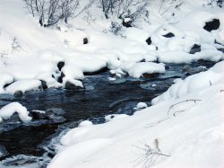 Filename=DSC00908.JPG
Filesize=280KiB
Dimensions=1600x1200
Date added=Feb 23, 2005 DSC00908.JPG