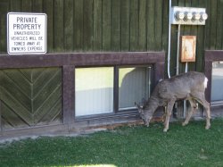 IMG_0277.jpg