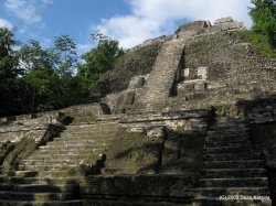 IMG_0620.jpg