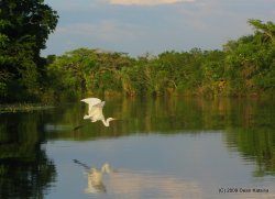 IMG_0681.jpg