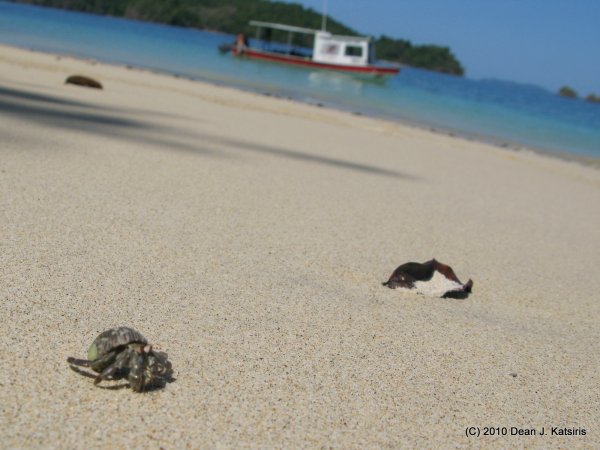 Click to view full size image