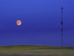 IMG_2350.jpg