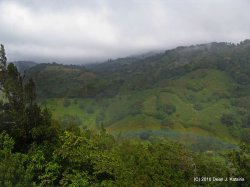 IMG_1333.JPG
