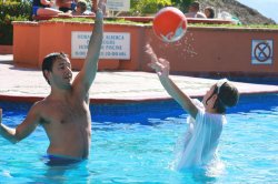 IMG_8293.jpg