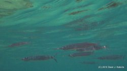 Filename=IMG_6659.JPG
Filesize=334KiB
Dimensions=1600x905
Date added=Apr 24, 2010 IMG_6659.JPG