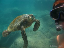 Filename=IMG_6673.JPG
Filesize=454KiB
Dimensions=1600x1200
Date added=Apr 24, 2010 IMG_6673.JPG