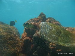 Filename=IMG_6675.JPG
Filesize=551KiB
Dimensions=1600x1200
Date added=Apr 24, 2010 IMG_6675.JPG