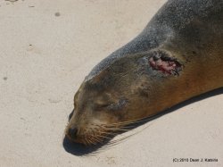 Filename=IMG_6688.JPG
Filesize=648KiB
Dimensions=1600x1200
Date added=Apr 24, 2010 IMG_6688.JPG