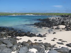 Filename=IMG_6700.JPG
Filesize=505KiB
Dimensions=1600x1200
Date added=Apr 24, 2010 IMG_6700.JPG