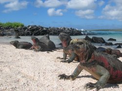 Filename=IMG_6737.JPG
Filesize=672KiB
Dimensions=1600x1200
Date added=Apr 24, 2010 IMG_6737.JPG