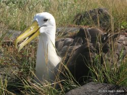 Filename=IMG_6765.JPG
Filesize=908KiB
Dimensions=1600x1200
Date added=Apr 24, 2010 IMG_6765.JPG