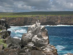 Filename=IMG_6795.JPG
Filesize=567KiB
Dimensions=1600x1200
Date added=Apr 24, 2010 IMG_6795.JPG