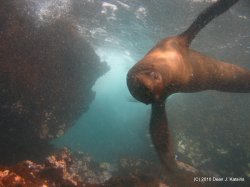 Filename=IMG_6302.JPG
Filesize=624KiB
Dimensions=1600x1200
Date added=Apr 23, 2010 IMG_6302.JPG