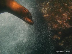 Filename=IMG_6308.JPG
Filesize=846KiB
Dimensions=1600x1200
Date added=Apr 23, 2010 IMG_6308.JPG