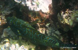 Filename=IMG_6395.JPG
Filesize=630KiB
Dimensions=1600x1025
Date added=Apr 23, 2010 IMG_6395.JPG