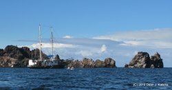 Filename=IMG_6399.JPG
Filesize=450KiB
Dimensions=1600x839
Date added=Apr 23, 2010 IMG_6399.JPG