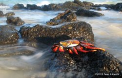 Filename=IMG_6440.JPG
Filesize=538KiB
Dimensions=1600x1026
Date added=Apr 23, 2010 IMG_6440.JPG