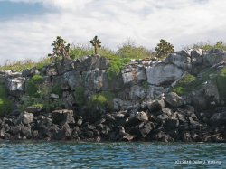 Filename=IMG_5479.JPG
Filesize=597KiB
Dimensions=1600x1200
Date added=Apr 20, 2010 IMG_5479.JPG