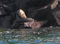 Filename=IMG_5480.JPG
Filesize=469KiB
Dimensions=1600x1200
Date added=Apr 20, 2010 IMG_5480.JPG