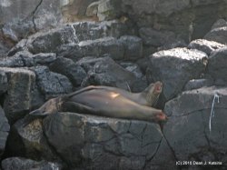 Filename=IMG_5486.JPG
Filesize=452KiB
Dimensions=1600x1200
Date added=Apr 20, 2010 IMG_5486.JPG