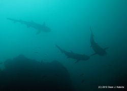 Filename=IMG_5963.jpg
Filesize=195KiB
Dimensions=1600x1155
Date added=Apr 20, 2010 IMG_5963.jpg