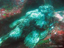 Filename=IMG_5966.jpg
Filesize=893KiB
Dimensions=1600x1200
Date added=Apr 20, 2010 IMG_5966.jpg