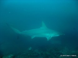 Filename=IMG_5967.jpg
Filesize=366KiB
Dimensions=1600x1200
Date added=Apr 20, 2010 IMG_5967.jpg