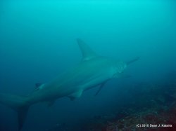 Filename=IMG_5970.jpg
Filesize=285KiB
Dimensions=1600x1200
Date added=Apr 20, 2010 IMG_5970.jpg