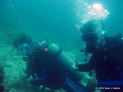 Filename=IMG_5981.jpg
Filesize=375KiB
Dimensions=1600x1200
Date added=Apr 20, 2010 IMG_5981.jpg