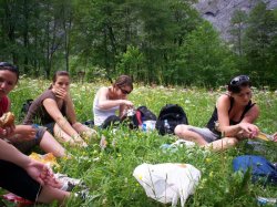 swiss_picnic.jpg