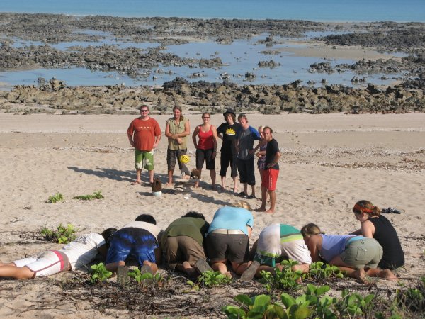 Click to view full size image