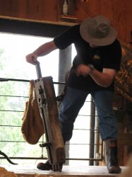 IMG_0585.jpg