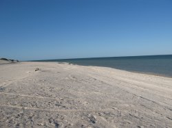 IMG_1477.jpg