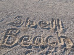 IMG_1479~0.jpg