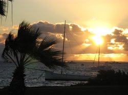 IMG_1483.jpg