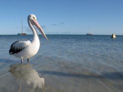 IMG_1491.jpg