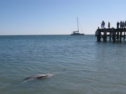 IMG_1510.jpg
