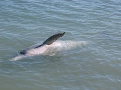 IMG_1511.jpg