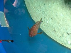 IMG_1632.jpg