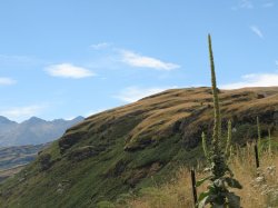IMG_3355.jpg