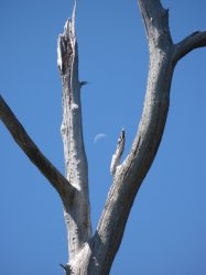 IMG_3369~0.jpg
