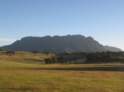IMG_3376.jpg