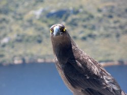 IMG_3399.jpg