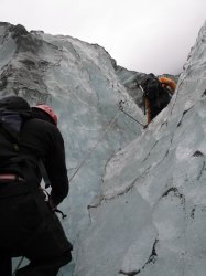 Filename=IMG_3495.jpg
Filesize=396KiB
Dimensions=1200x1600
Date added=Mar 24, 2007 IMG_3495.jpg